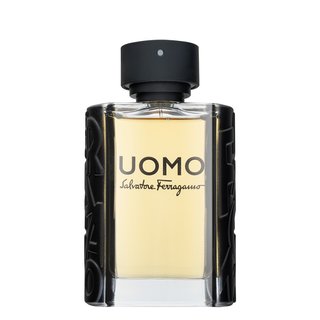 Salvatore Ferragamo Uomo toaletna voda za muškarce 100 ml