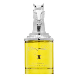Armaf Armaf Bucephalus No. X parfemska voda za muškarce 100 ml