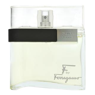 Salvatore Ferragamo F by Ferragamo Pour Homme toaletna voda za muškarce 100 ml