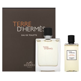 Hermès Hermès Terre D'Hermes darčeková sada za muškarce Set I. 100 ml