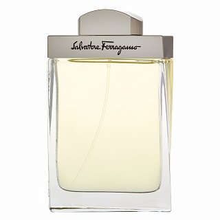 Salvatore Ferragamo Pour Homme toaletna voda za muškarce 100 ml