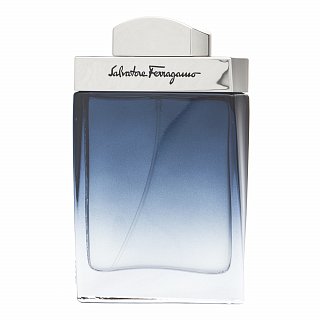 Salvatore Ferragamo Subtil Pour Homme toaletna voda za muškarce 50 ml