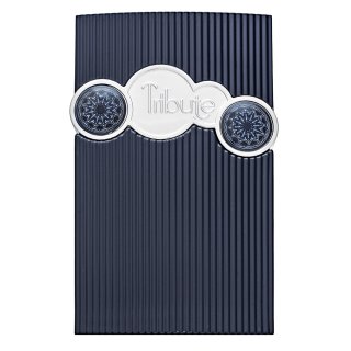 Afnan Tribute Blue parfémovaná voda za muškarce 100 ml