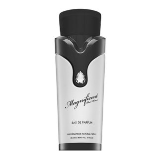 Armaf Armaf Magnificent Pour Homme parfemska voda za muškarce 100 ml