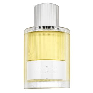 Tom Ford Signature Beau de Jour parfémovaná voda za muškarce 100 ml