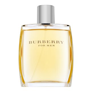 Burberry Burberry For Men toaletna voda za muškarce 100 ml