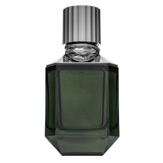 Roberto Cavalli Roberto Cavalli Paradise Found toaletna voda za muškarce 75 ml