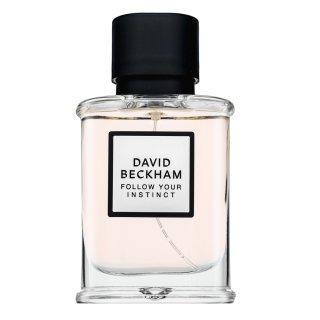 David Beckham Follow Your Instinct parfemska voda za muškarce 50 ml