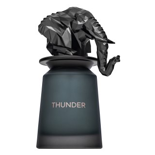 French Avenue Thunder parfemska voda za muškarce 100 ml
