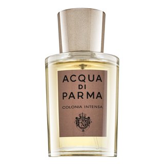 Acqua di Parma Colonia Intensa kolonjska voda za muškarce 50 ml