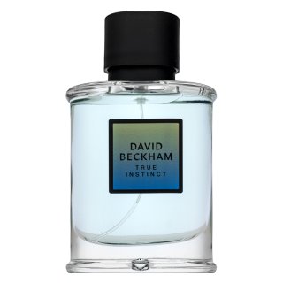 David Beckham True Instinct parfemska voda za muškarce 75 ml