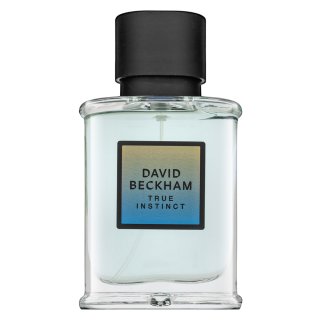 David Beckham True Instinct parfemska voda za muškarce 50 ml