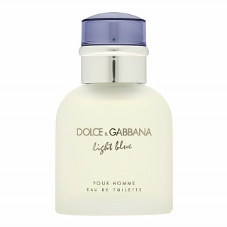 Dolce & Gabbana Dolce & Gabbana Light Blue Pour Homme toaletna voda za muškarce 40 ml