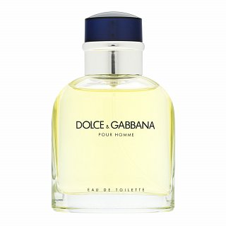 Dolce & Gabbana Pour Homme toaletna voda za muškarce 75 ml