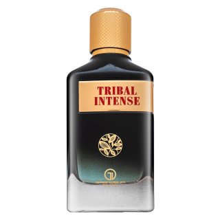 Grandeur Grandeur Tribal Intense parfemska voda za muškarce 100 ml