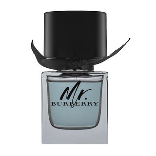 Burberry Burberry Mr. Burberry toaletna voda za muškarce 50 ml