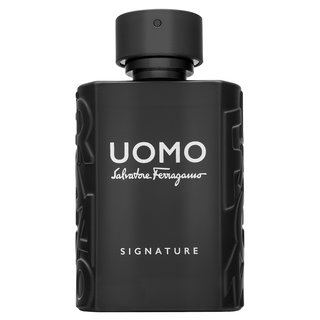 Salvatore Ferragamo Salvatore Ferragamo Uomo Signature parfemska voda za muškarce 100 ml