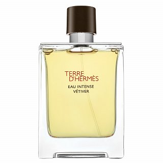 Hermès Terre D'Hermes Eau Intense Vetiver parfémovaná voda za muškarce 100 ml